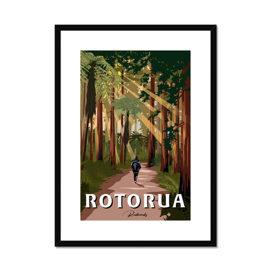 Rotorua Redwoods Framed & Mounted Print